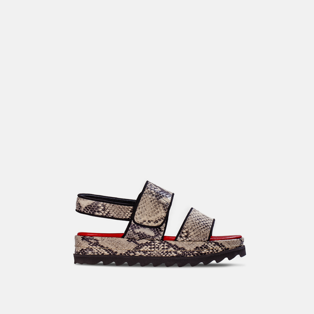 Carela Shoes